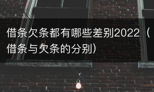借条欠条都有哪些差别2022（借条与欠条的分别）
