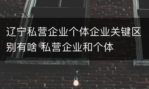 辽宁私营企业个体企业关键区别有啥 私营企业和个体