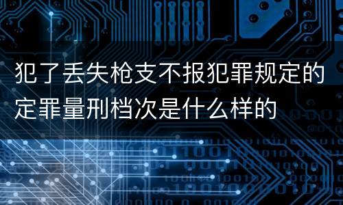 犯了丢失枪支不报犯罪规定的定罪量刑档次是什么样的