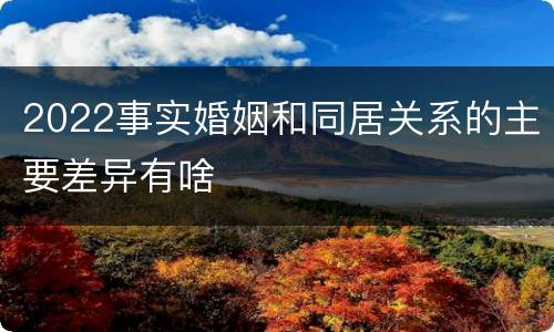 2022事实婚姻和同居关系的主要差异有啥