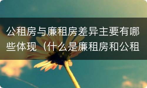 公租房与廉租房差异主要有哪些体现（什么是廉租房和公租房两个有什么特点）