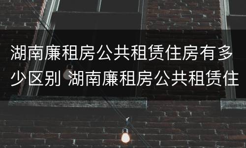 湖南廉租房公共租赁住房有多少区别 湖南廉租房公共租赁住房有多少区别啊