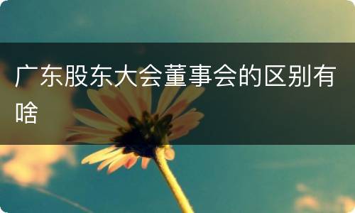 广东股东大会董事会的区别有啥