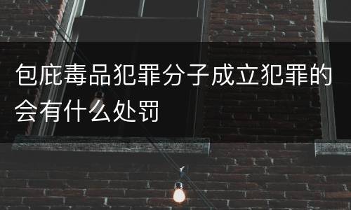 包庇毒品犯罪分子成立犯罪的会有什么处罚