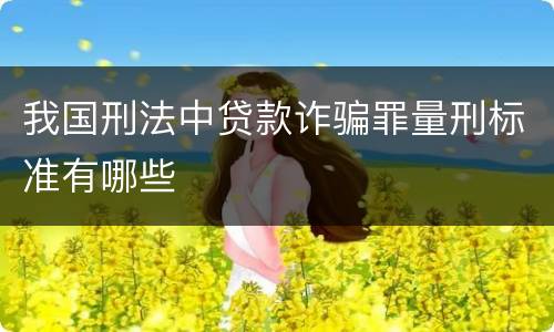 我国刑法中贷款诈骗罪量刑标准有哪些