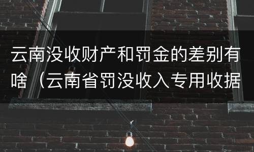 云南没收财产和罚金的差别有啥（云南省罚没收入专用收据）