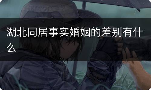 湖北同居事实婚姻的差别有什么