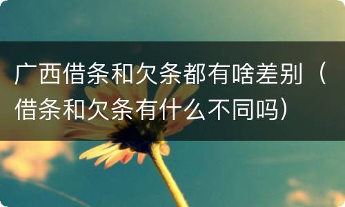广西借条和欠条都有啥差别（借条和欠条有什么不同吗）