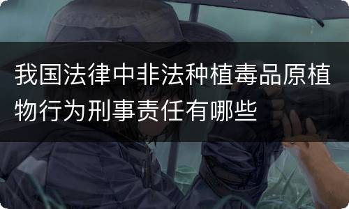 我国法律中非法种植毒品原植物行为刑事责任有哪些