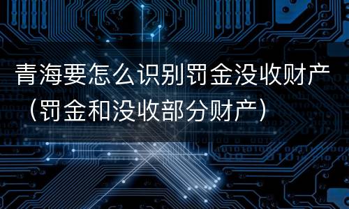 青海要怎么识别罚金没收财产（罚金和没收部分财产）