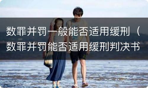 数罪并罚一般能否适用缓刑（数罪并罚能否适用缓刑判决书）