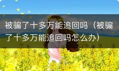 被骗了十多万能追回吗（被骗了十多万能追回吗怎么办）