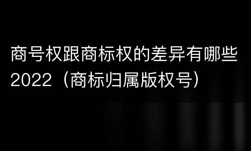 商号权跟商标权的差异有哪些2022（商标归属版权号）