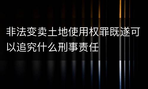 非法变卖土地使用权罪既遂可以追究什么刑事责任