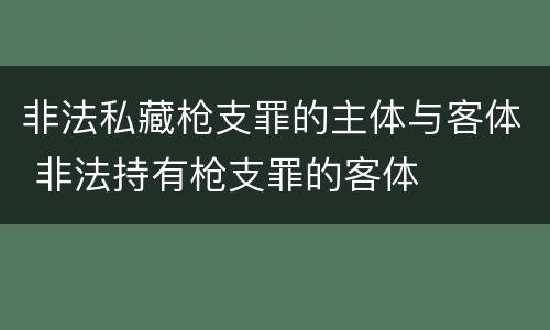 非法私藏枪支罪的主体与客体 非法持有枪支罪的客体