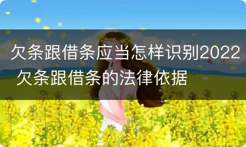 欠条跟借条应当怎样识别2022 欠条跟借条的法律依据