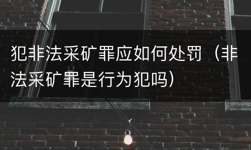 犯非法采矿罪应如何处罚（非法采矿罪是行为犯吗）