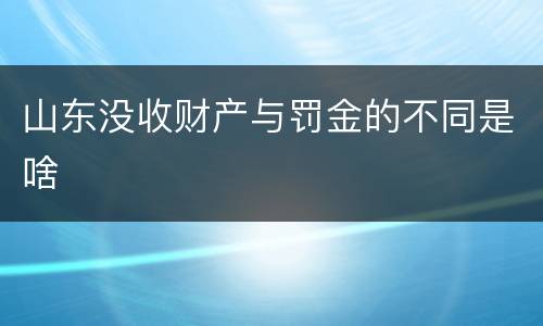 山东没收财产与罚金的不同是啥