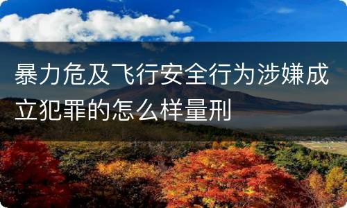 暴力危及飞行安全行为涉嫌成立犯罪的怎么样量刑