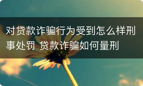 对贷款诈骗行为受到怎么样刑事处罚 贷款诈骗如何量刑
