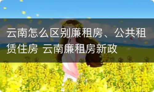 云南怎么区别廉租房、公共租赁住房 云南廉租房新政
