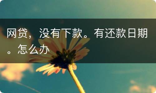 网贷，没有下款。有还款日期。怎么办