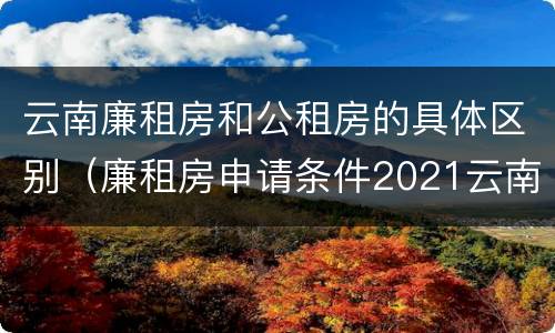 云南廉租房和公租房的具体区别（廉租房申请条件2021云南）