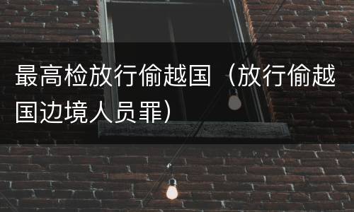 最高检放行偷越国（放行偷越国边境人员罪）