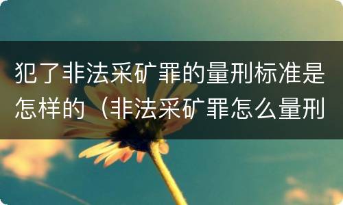 犯了非法采矿罪的量刑标准是怎样的（非法采矿罪怎么量刑）