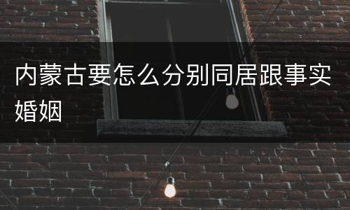 内蒙古要怎么分别同居跟事实婚姻
