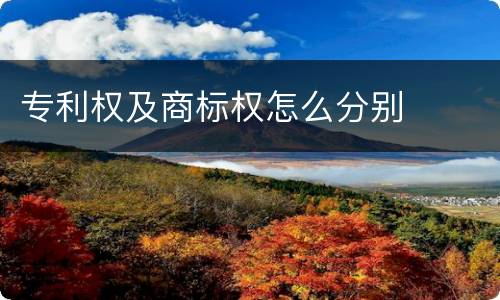 专利权及商标权怎么分别
