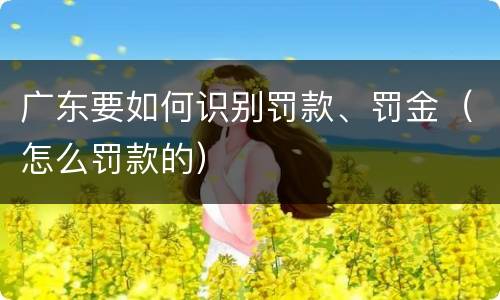 广东要如何识别罚款、罚金（怎么罚款的）