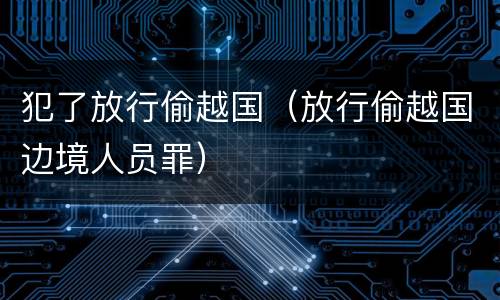 犯了放行偷越国（放行偷越国边境人员罪）