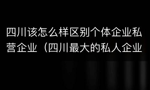 四川该怎么样区别个体企业私营企业（四川最大的私人企业）