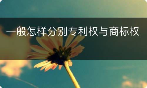 一般怎样分别专利权与商标权