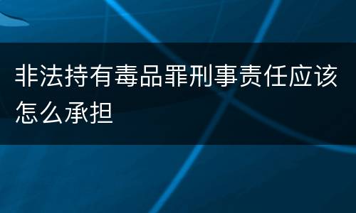 非法持有毒品罪刑事责任应该怎么承担