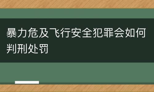 暴力危及飞行安全犯罪会如何判刑处罚
