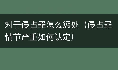 对于侵占罪怎么惩处（侵占罪情节严重如何认定）