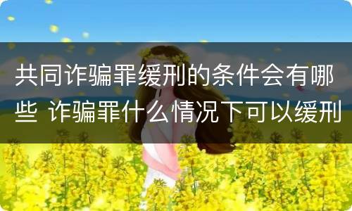 共同诈骗罪缓刑的条件会有哪些 诈骗罪什么情况下可以缓刑