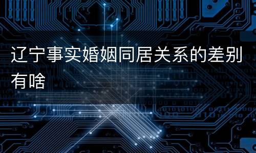 辽宁事实婚姻同居关系的差别有啥