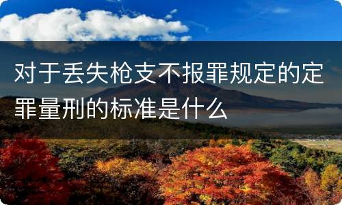 对于丢失枪支不报罪规定的定罪量刑的标准是什么