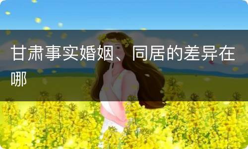 甘肃事实婚姻、同居的差异在哪