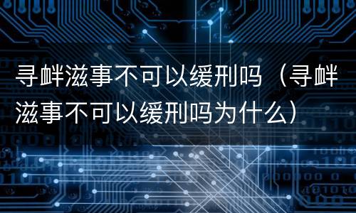 寻衅滋事不可以缓刑吗（寻衅滋事不可以缓刑吗为什么）