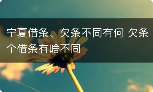 宁夏借条、欠条不同有何 欠条个借条有啥不同