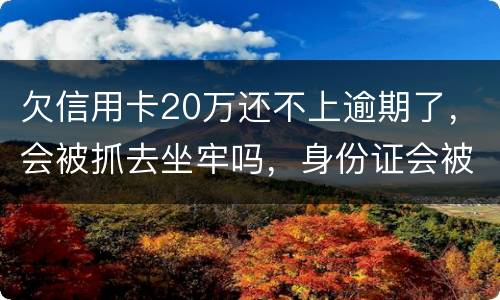 欠信用卡20万还不上逾期了，会被抓去坐牢吗，身份证会被封吗