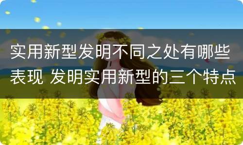实用新型发明不同之处有哪些表现 发明实用新型的三个特点