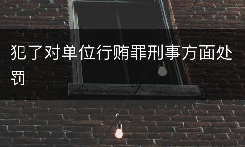 犯了对单位行贿罪刑事方面处罚