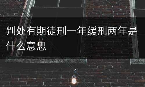 判处有期徒刑一年缓刑两年是什么意思