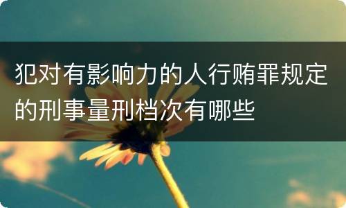 犯对有影响力的人行贿罪规定的刑事量刑档次有哪些