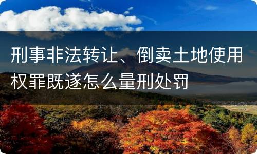 刑事非法转让、倒卖土地使用权罪既遂怎么量刑处罚
